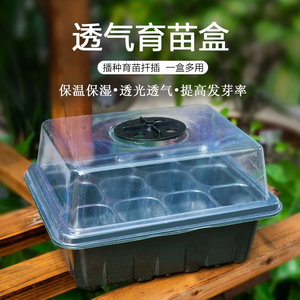 家用塑料透明育苗盒保温保湿育苗盘营养杯钵长方形托盘扦插芽菜盒