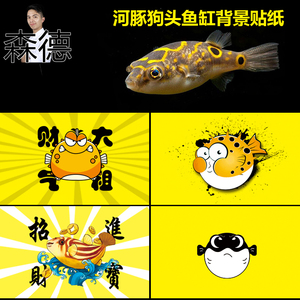 斑马狗头鱼缸背景贴纸河豚鱼缸专用黄色高清背景贴纸自粘内外防水