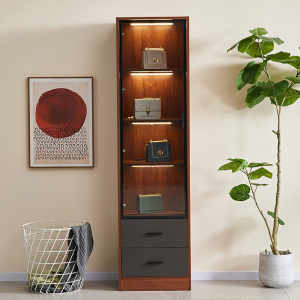 边角小立柜窄柜30公分夹缝客厅储物高柜收纳家用实木墙边单门书柜