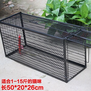 猫陷阱