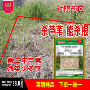 除芦苇药环嗪酮敌草隆精喹灵禾芦苇除草剂强力除草烂根剂一扫光