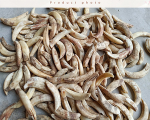 00无悔人生曾经拥有淘宝原生态二代养殖猪牙齿吊坠挂件真品加工车挂