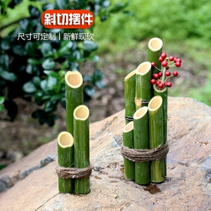 竹筒插花瓶绿竹桌面装饰花园艺造景花艺新鲜竹杆竹竿绿色竹子摆件