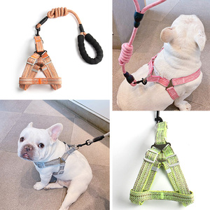 狗狗牵引绳八哥