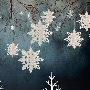 立体雪花片纸质镂空大雪花挂件圣诞装饰6件套节庆活动装饰布置