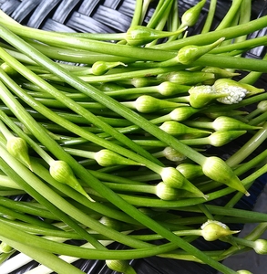 云南新鲜蔬菜农自种嫩大韭菜花苤菜花苤菜苔当天采摘全国空运