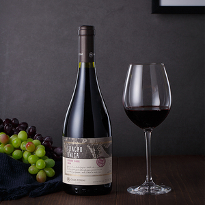 casa perini 卡萨佩里尼单一园干红葡萄酒巴西进口红酒