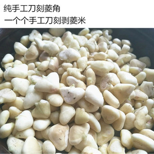 东平湖畔 东平湖特产菱角 新鲜菱角 菱角仁