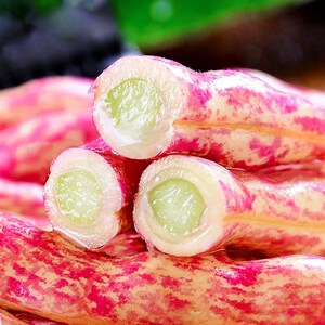 东北红金钩豆角种子高产四季春秋架豆油豆角种籽芸豆春季蔬菜种孑