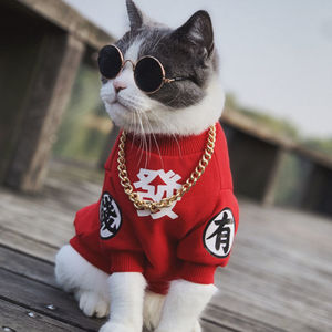 宠物服装狗狗新年两脚衣服虎年搞笑猫咪过年红色卫衣财神小猫服饰