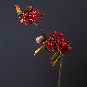红浆果仿真花发财果小野果子带叶仿真树枝中式插花单枝装饰花假花