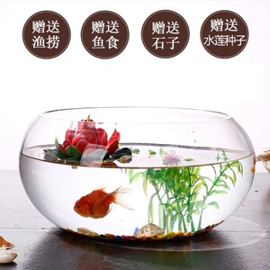 圆鱼缸小型桌面创意玻璃睡莲圆形水培植物金鱼缸一体水养家用造景