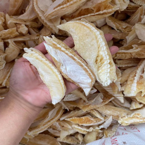 鲨鱼骨软骨翅骨