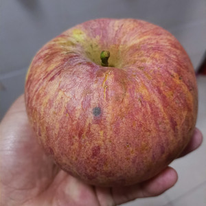 [b级果]带瑕疵的正宗山西运城万荣苹果脆甜多汁新鲜冰糖心丑苹果