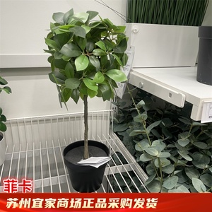 IKEA宜家 菲卡 人造盆栽植物垂枝无花果仿真绿植家居装饰假花人造