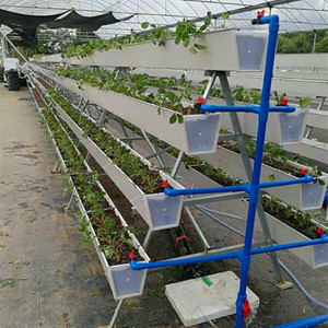 草莓立体种植槽 无土栽培槽 种植槽 草莓槽 大棚种植槽