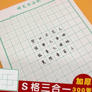 练字纸s格