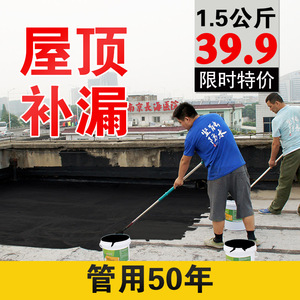 室外屋顶防水补漏材料外墙房屋漏水胶清洗剂墙面修补老房子高硬度