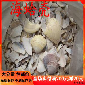 中药材 蛤壳 海蛤壳 文蛤海蛤壳 500克