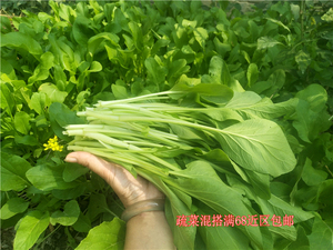 菜心新鲜小青菜叶菜类蔬菜菜苔 菜杆 混搭满68近区包邮