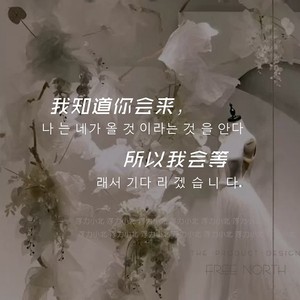 我会等你 中文韩文婚纱店服装花店餐厅店铺玻璃橱窗墙面装饰贴纸