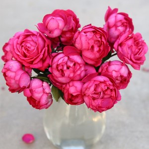 伊芙口红花园金色美植袋营养土粉红色浓香大花庭院月季盆栽花苗