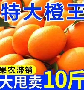 江西赣南脐橙10斤新鲜现摘橙子大果当季水果手剥冰糖甜橙果冻橙5