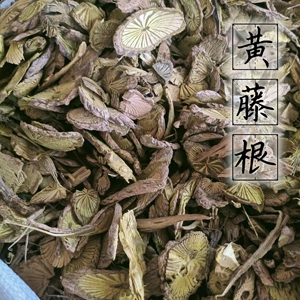 黄莲中药新鲜
