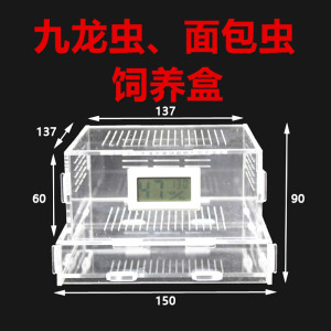 九龙虫饲养繁殖盒洋虫幼虫粪便分离器黄粉虫面包虫长寿虫养殖箱