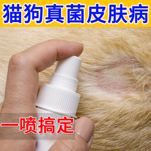 6499人付款淘宝狗脱毛皮肤病专用药治狗癣身上长癣掉毛瘙痒金毛狗狗