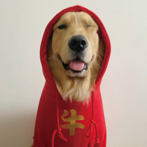 牛年新年带帽加绒宠物狗狗衣服卫衣帽衫金毛哈士奇萨摩耶中大型犬