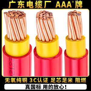 广东电缆厂BVV10/16/25/35/50/70平方国标阻燃纯铜芯双塑电线电缆
