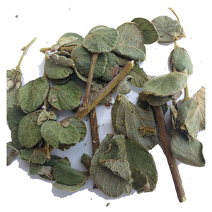 野生毛排钱草500克中草药材笠碗子树 排前草排钱树木阿婆钱可打粉