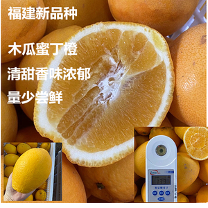 福建木瓜蜜丁橙柚台湾新品种木瓜橙清甜多汁5斤包邮孕妇水果