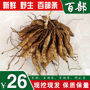 【新鲜百部】新鲜百部品牌,价格 - 阿里巴巴