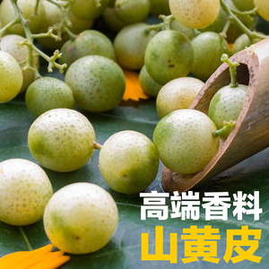 8斤5斤广西新鲜山黄皮果鸡皮果腌制晒干泡茶泡酒凉拌炒菜辣椒酱用
