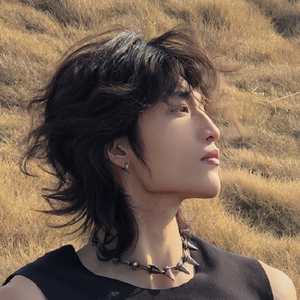 长发假发男狼尾发帅气鲻鱼头微卷中分刘海网红拍照蓬松透气全头套