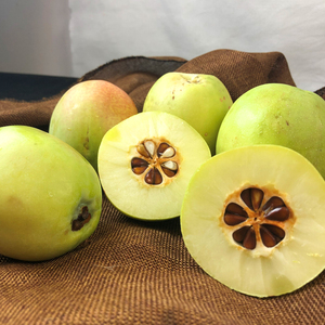 云南木瓜酸木瓜腌制