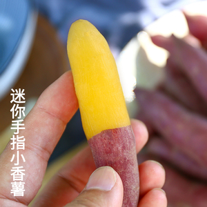 红薯新鲜包邮临安正宗天目山小香薯紫薯蜜薯农家自种番薯山芋地瓜