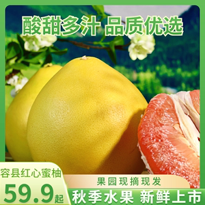 广西容县红心蜜柚红心肉柚子应季孕妇新鲜水果果园现摘包邮