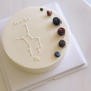 小红书爆款ins风12星座摩羯座生日蛋糕北京上海广州全国同城配送