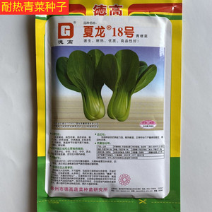 耐热青菜种子德高夏龙18号青梗菜种子蔬菜种子100克