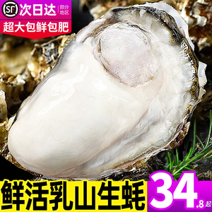 特大乳山生蚝鲜活10新鲜海蛎子5斤带箱海鲜超大牡蛎贝壳即食水产