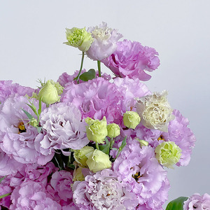 紫色波浪洋桔梗鲜花家养办公室插花水养节日送花北京同城顺丰包邮