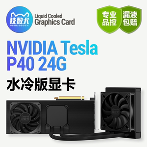 技数犬 Tesla P40 24G特斯拉AI绘图建模炼丹120/240水冷散热显卡