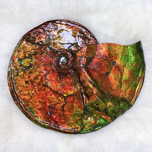 加拿大斑彩宝石天然精品红金彩一纹斑彩螺383x321mm amlf2230