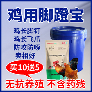 鸡用长脚钉王鸡长脚蹬子飞爪促生长防咬防啄大红冠鸡蹬爪王鸡催肥