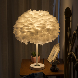 羽毛台灯卧室床头灯