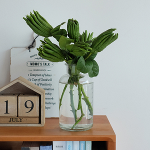 佛手水培金华特产佛手鲜果佛手柑青果香橼果观赏清供带枝水养插花