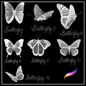 procreate笔刷 蝴蝶飞舞形状ipad笔刷手绘画插画素材